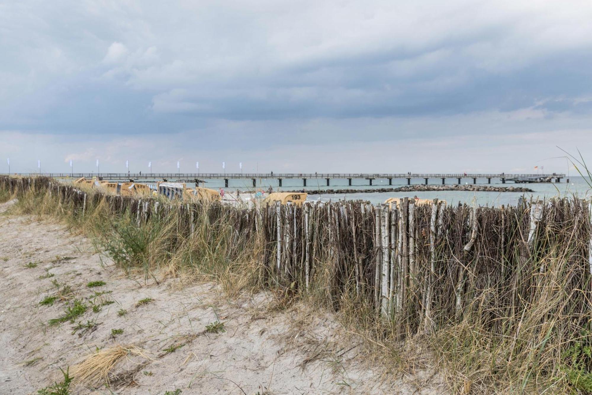 Treibholz - Feriendomizil Ostsee Schonberger Strand Zewnętrze zdjęcie